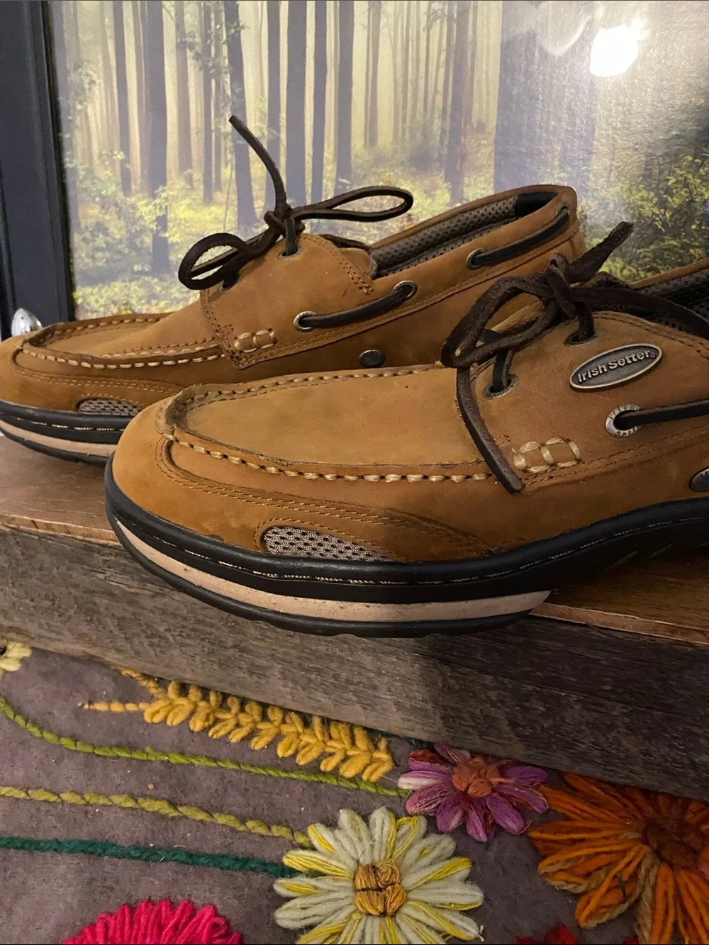 Irish Setter sturdy leather